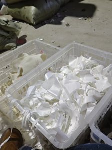 长期出售羽绒服胆布下来的白色涤纶废布，涤纶边角料，可以开花用也可以造粒，现货十几吨