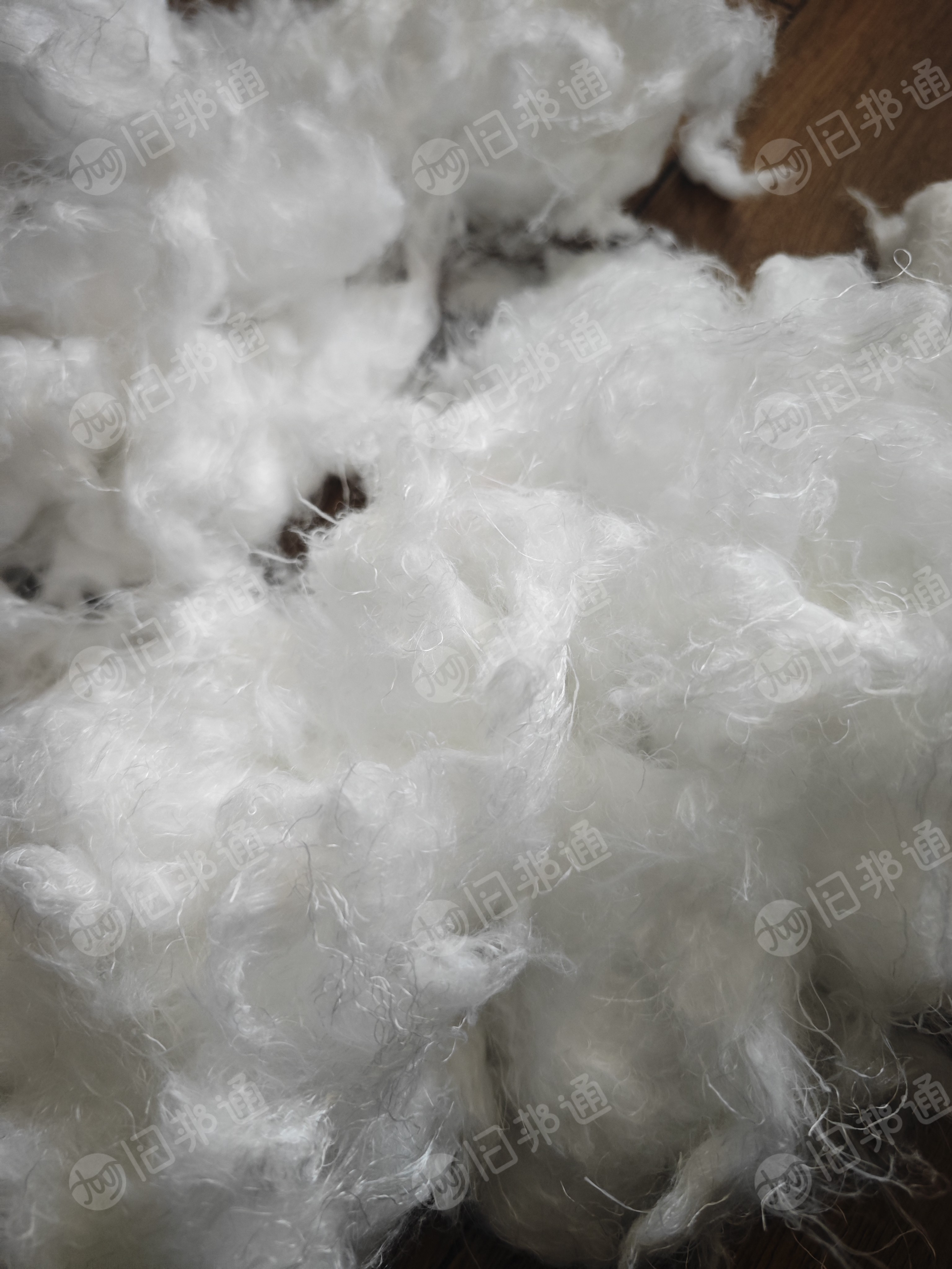 长期回收涤纶长丝开花棉,要纯涤纶的,每个月需要20吨