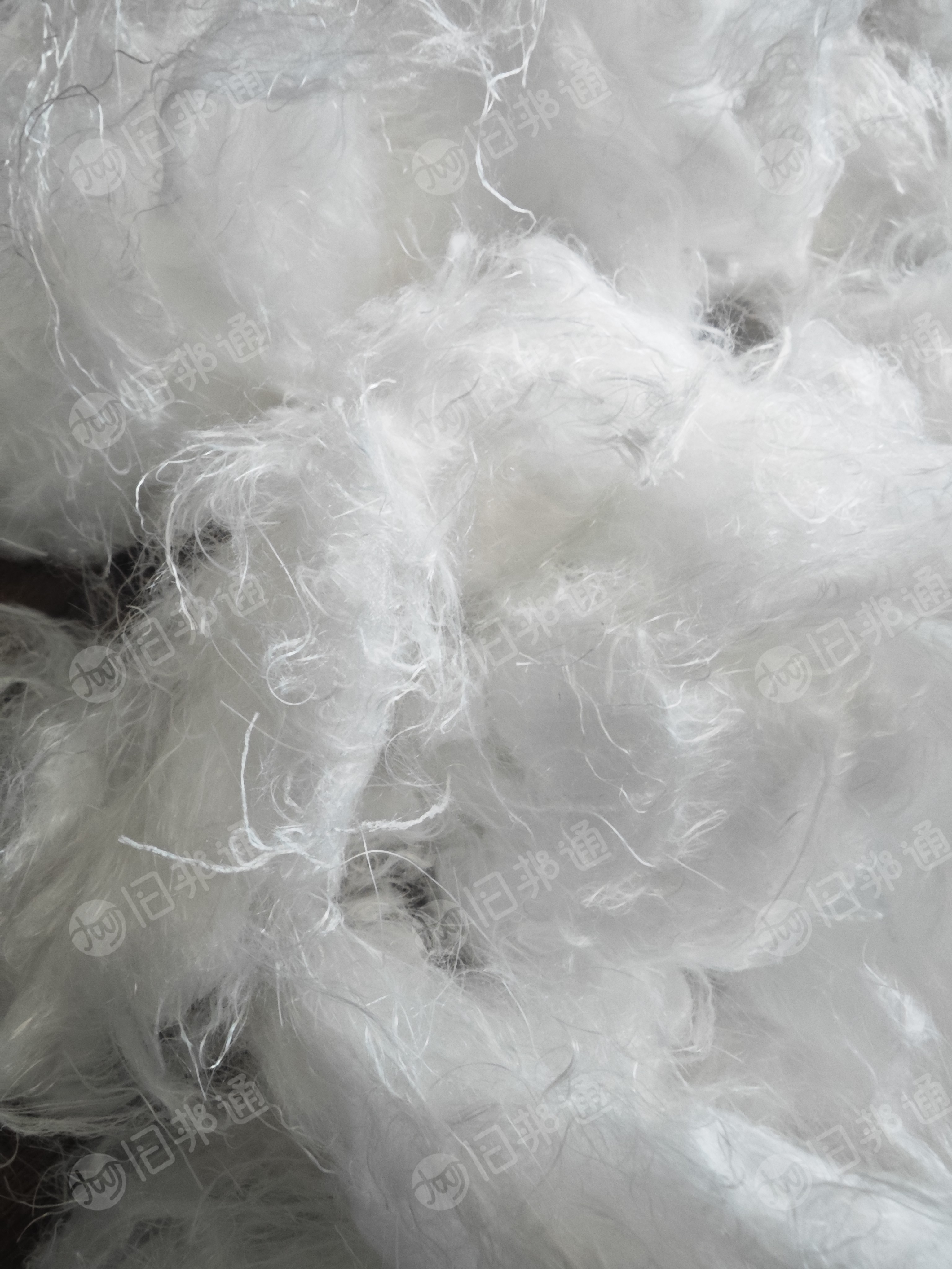 长期回收涤纶长丝开花棉，要纯涤纶的，每个月需要20吨