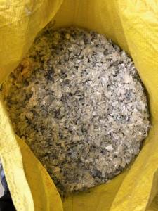 出售干粉PP吊瓶破碎料，现货15-20吨，月供7-8吨