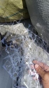 出售糖果厂下来的PET复合料，现货13吨