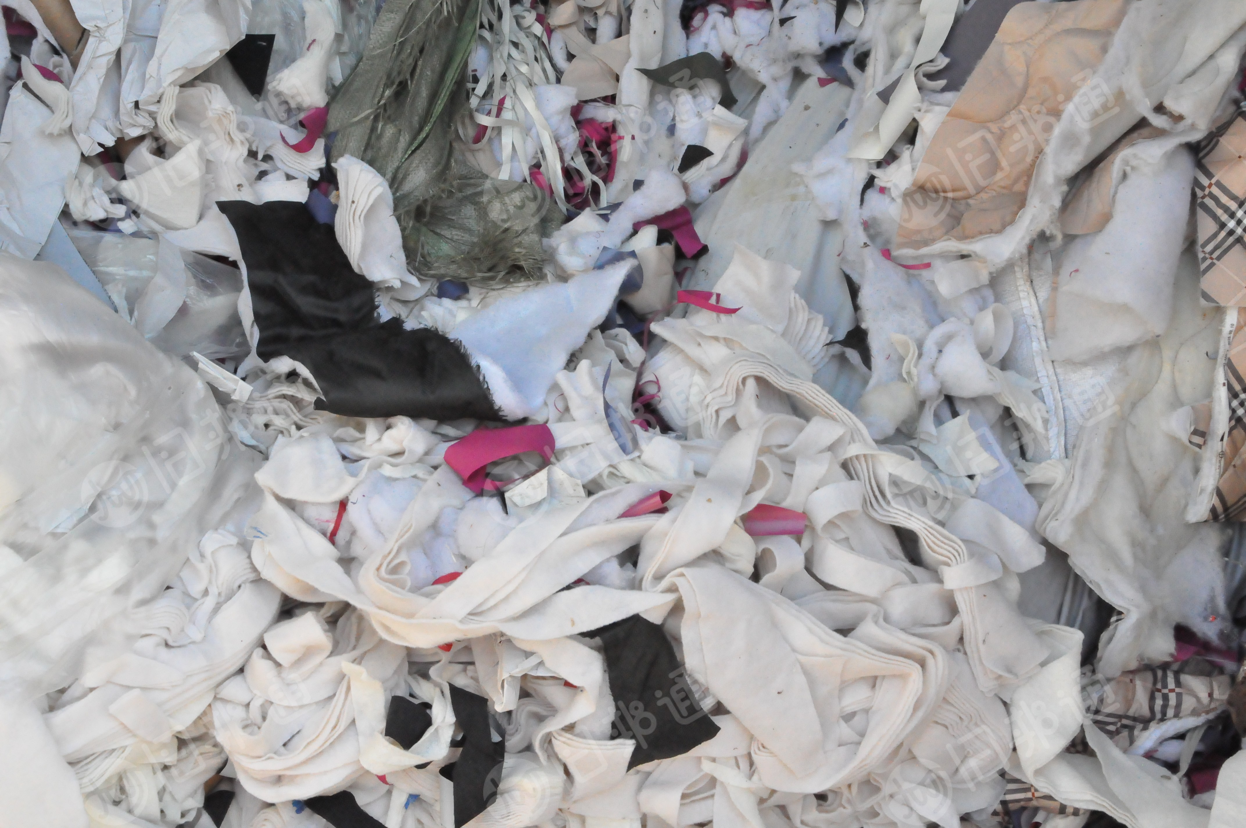 长期出售服装厂裁下来的废布料，涤纶废布，涤棉废布，棉布，丝棉下脚料，统货走