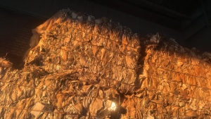 出售PVC带铝箔的药厂边角料，现货十来吨