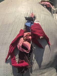 大量收购pet带钻布，涤纶带钻布废料