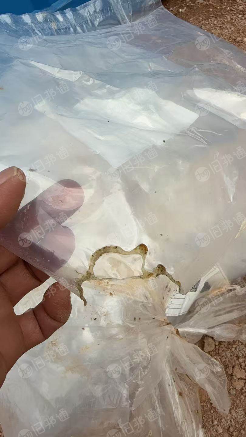 出售高压复合膜，月供9.6一车