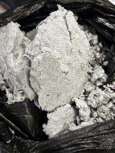 长期出售纯白纸加工的纸浆，水分60%