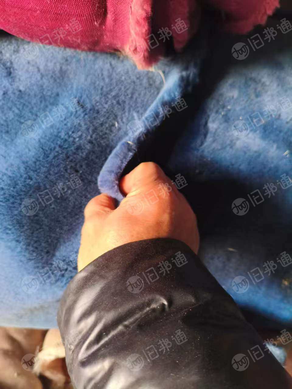 出售库存绒布，长绒棉，布料，长绒棉7吨左右，布料1吨左右 ，货在安徽合肥