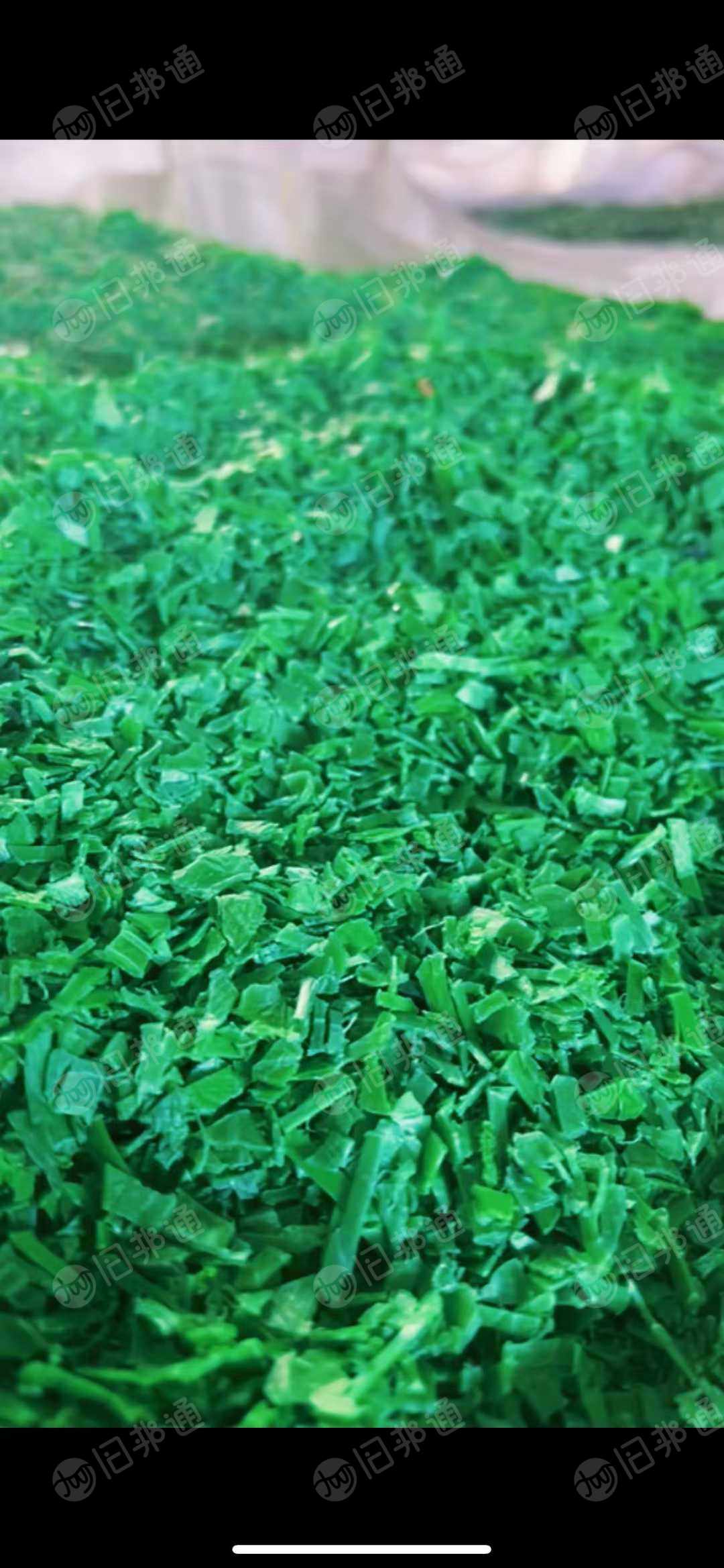 出售PET打包带破碎料，干粉的，长期有货