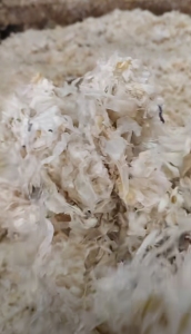 长期出售口杯膜废料，现货几十吨，月供300吨左右