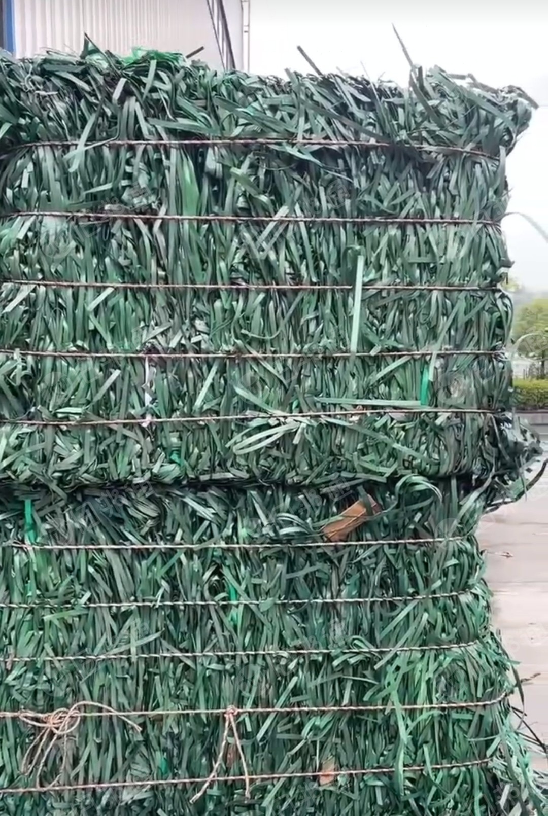 出售PET打包带废料，聚酯打包带废料