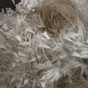 长期出售口杯纸边角料，小花和本色都有