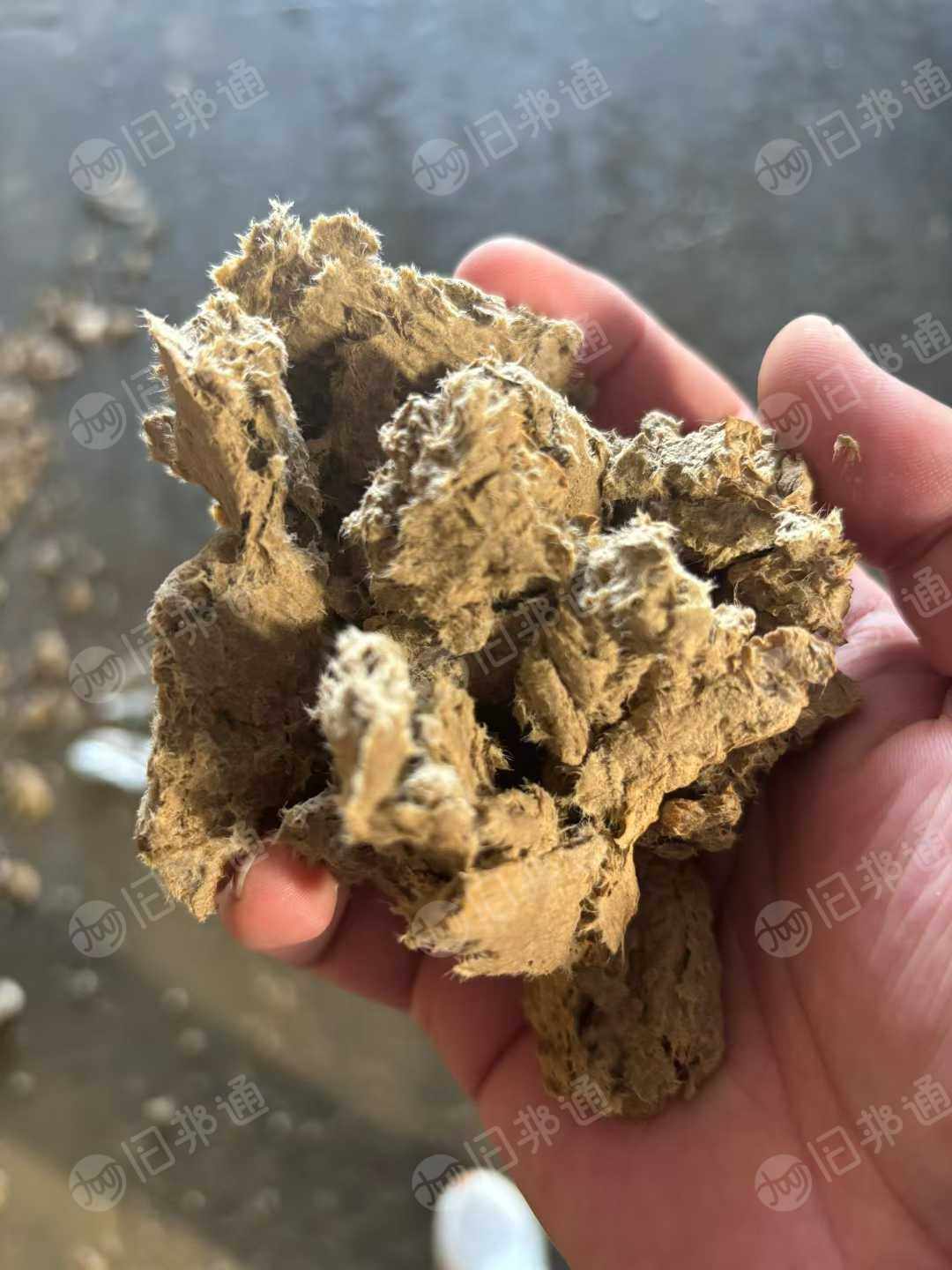 长期出售本色水洗纸浆