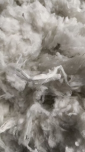 长期回收环锭纺下来的粗纱头、风箱花，大化，仿大化都可以，要求1.5D*3.8，开花用