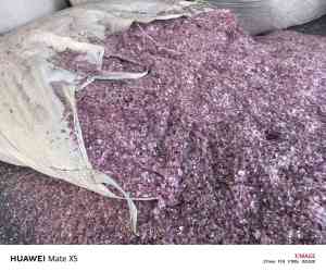 长期出售PET破碎料， 只适合做秧盘，现货200多吨