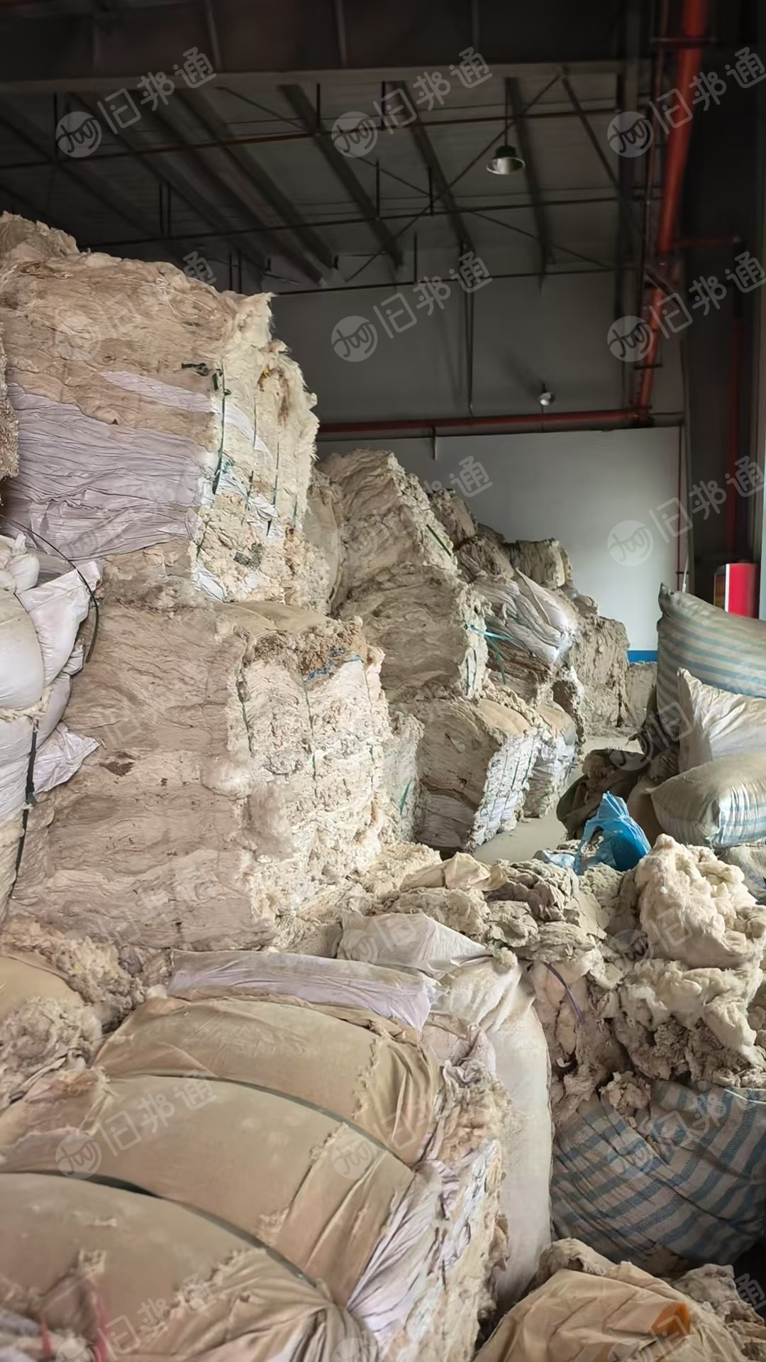 长期出售环锭纺厂下来白色纯棉扫地花，纺纱厂下脚料，现货100吨，货在新疆喀什