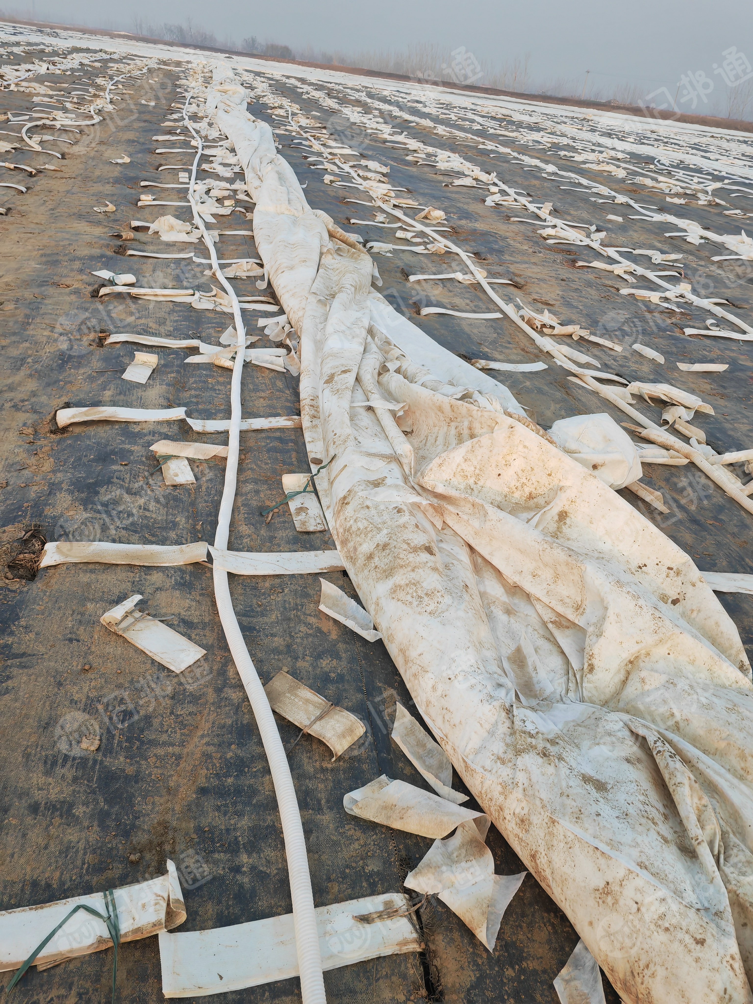 长期出售涤纶无纺布涤纶土工布，工地铺设地面的，没有胶，都是纯涤纶的，有点脏，月供400吨