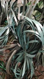 出售PET打包带废料