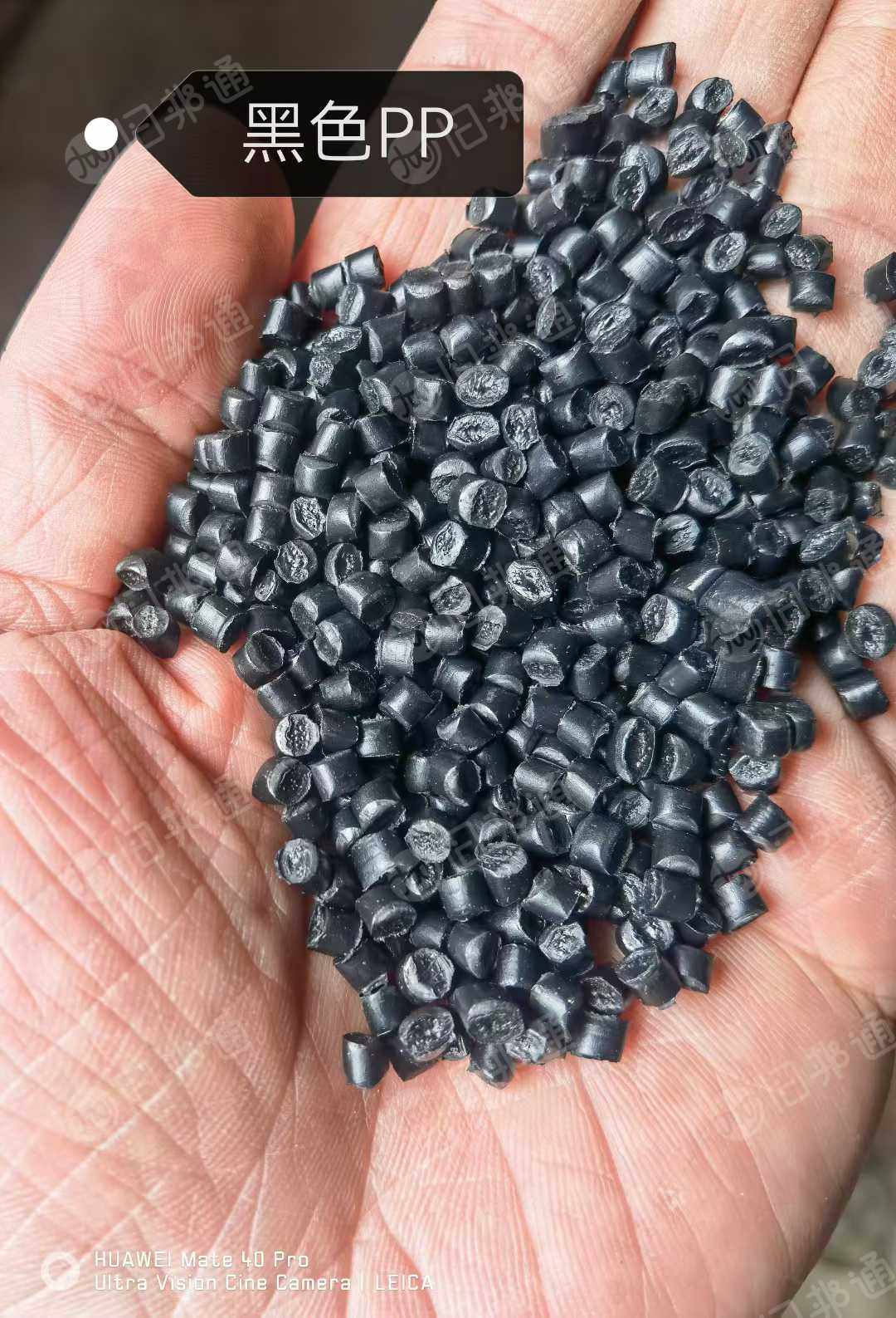 常年出售各色PP颗粒,编织袋颗粒,吨包颗粒,黑色PP颗粒,高亮光PP颗粒,粉透PP颗粒