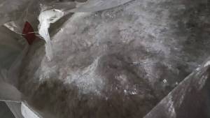 出售PET破碎料，做一次性PET杯子和盖子的。拉片用的，现货二三十吨