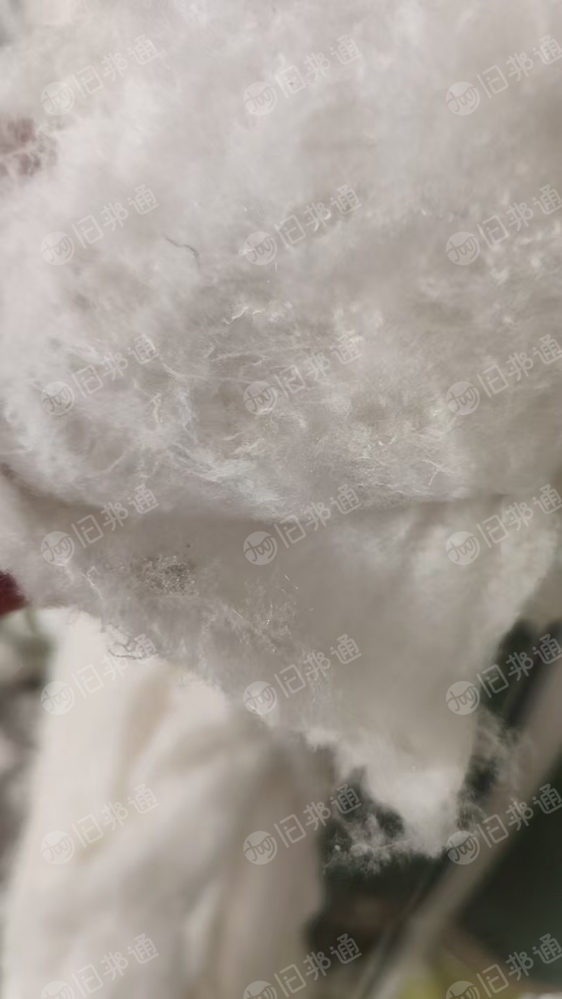 长期出售氨纶开花棉，化纤棉，氨纶废丝开出来，掺1/3涤纶加弹丝，可以做棉被填充用，每月80吨左右