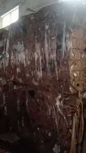 出售本色淋膜挂面纸，电子厂出来的