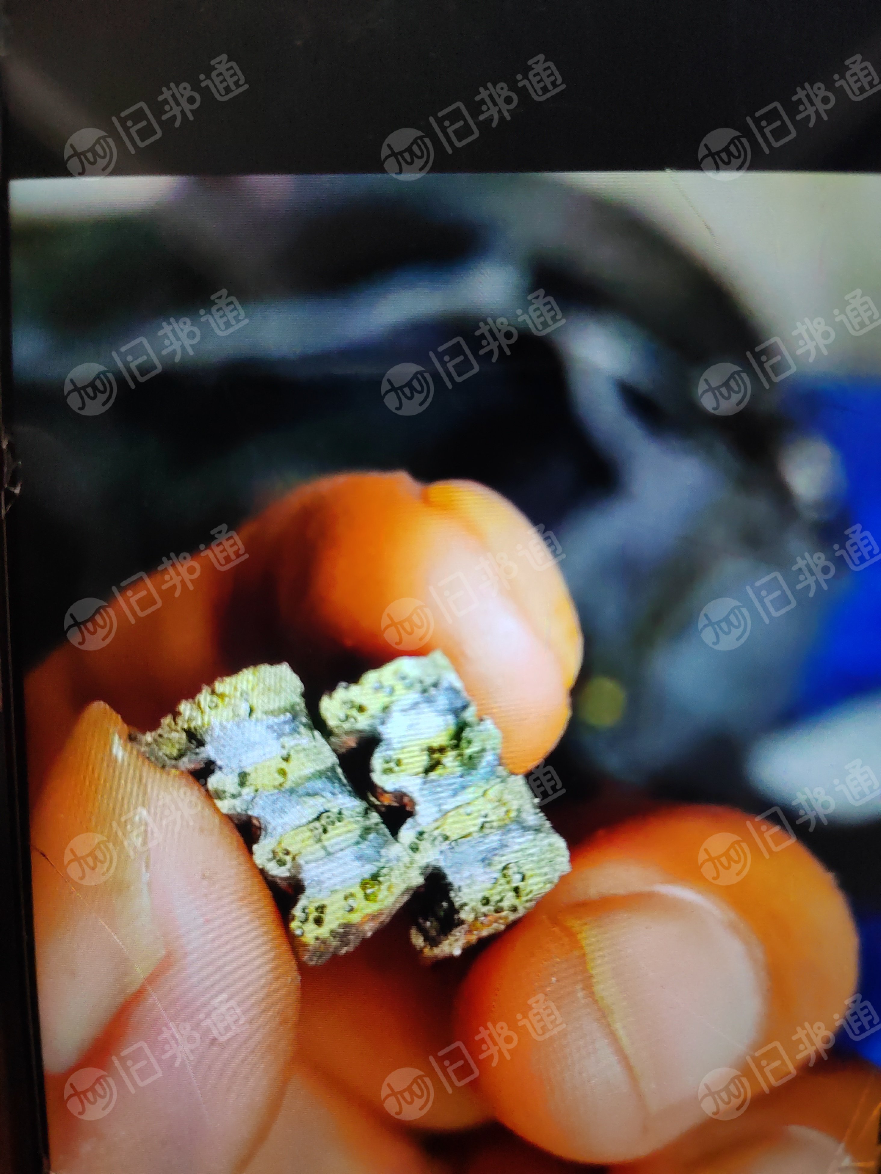 出售矿山刀头现货2吨