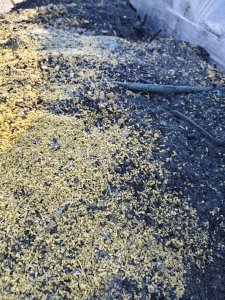 出售橡塑材质粉碎料，现货15/16吨