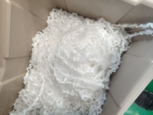 长期出售涤纶水丝，涤纶废丝，含水四五十左右，现货二十吨左右