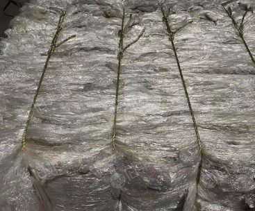 出售水洗高压膜废料，一级二级料都有，长期有货