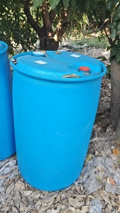 出售大蓝桶毛料，装丁香油下来，有味道，现货2/3百个