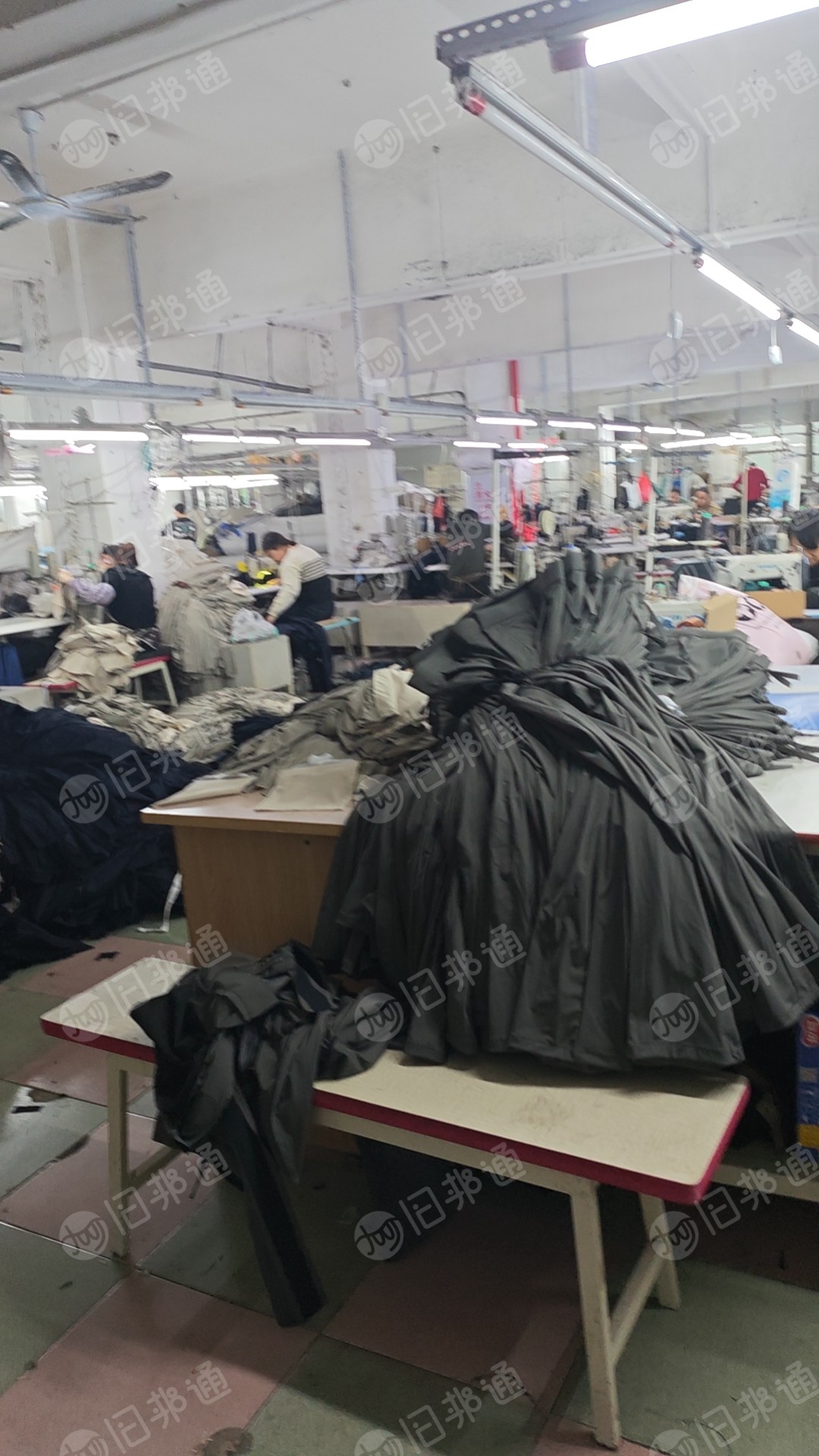 长期出售西裤厂裁床下来的涤棉碎布，废布，含棉在70%以上，一个月有100吨