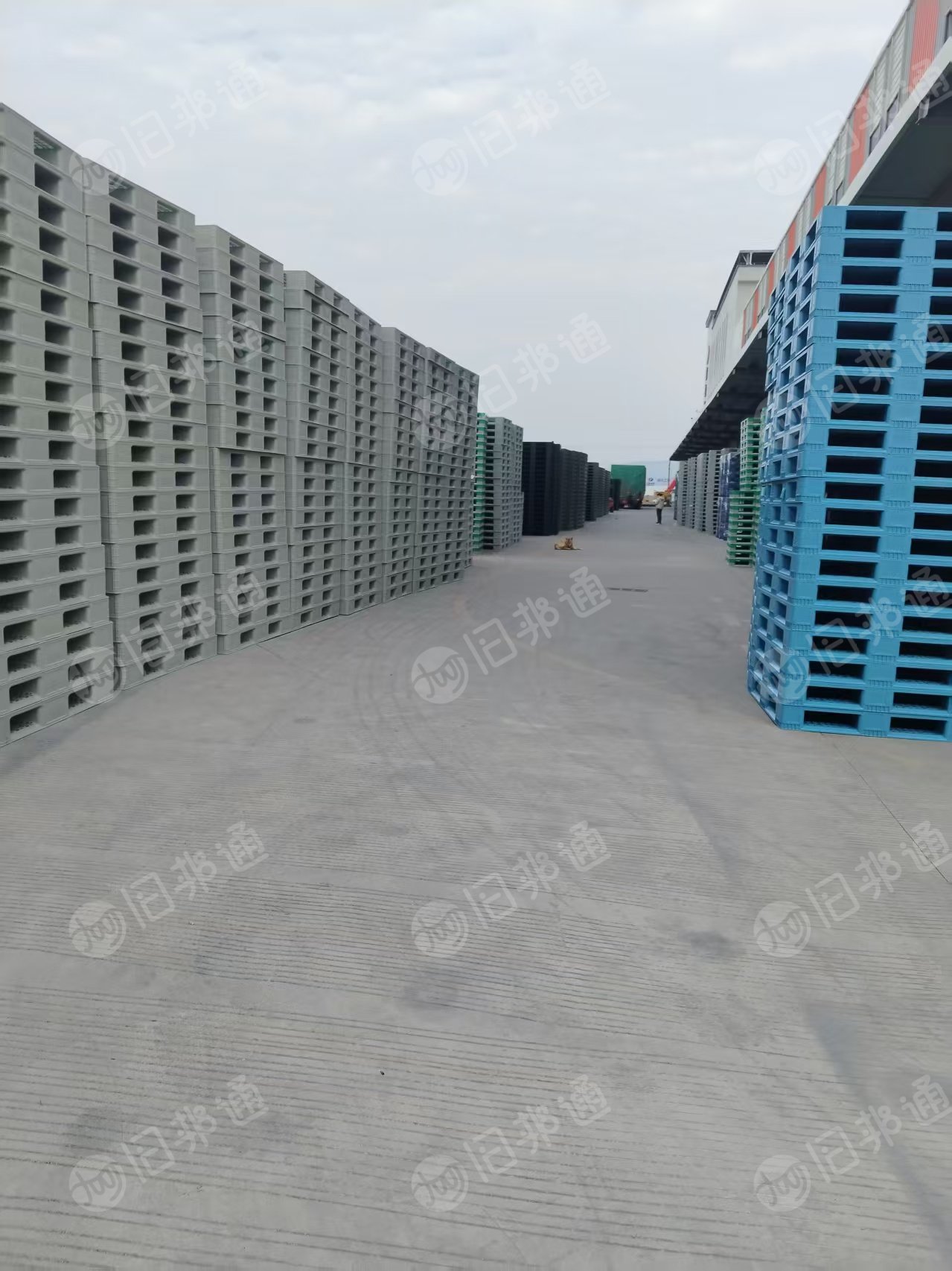 求购pp破碎料，用来做注塑托盘的