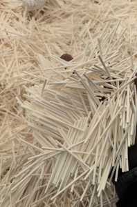 出售棒棒纸，针叶浆，食品级别