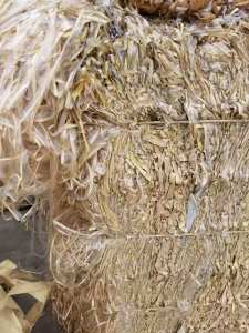 长期求购PE淋膜纸边料，带PE膜餐盒边料