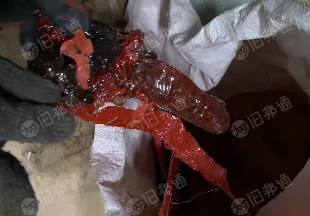 长期出售注塑射胶出来的红色pc块料