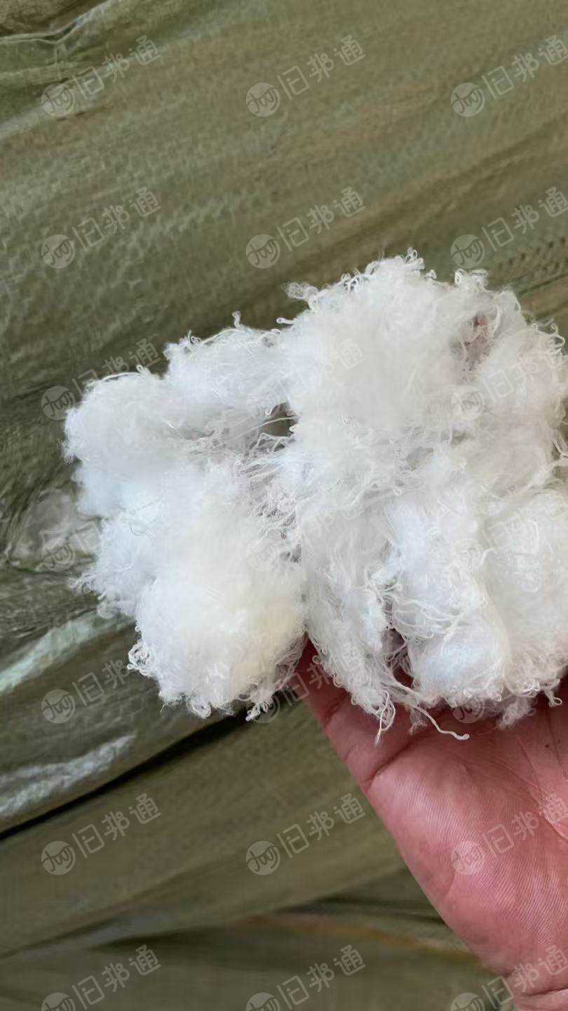 长期出售白色涤纶废丝，涤纶干丝，涤纶丝，月供十几吨，货在福建三明