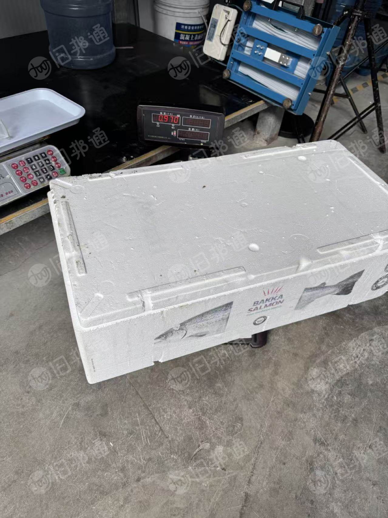 出售泡沫箱废料，装三文鱼下来，月供1万个左右