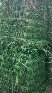 常年出售PET打包带废料