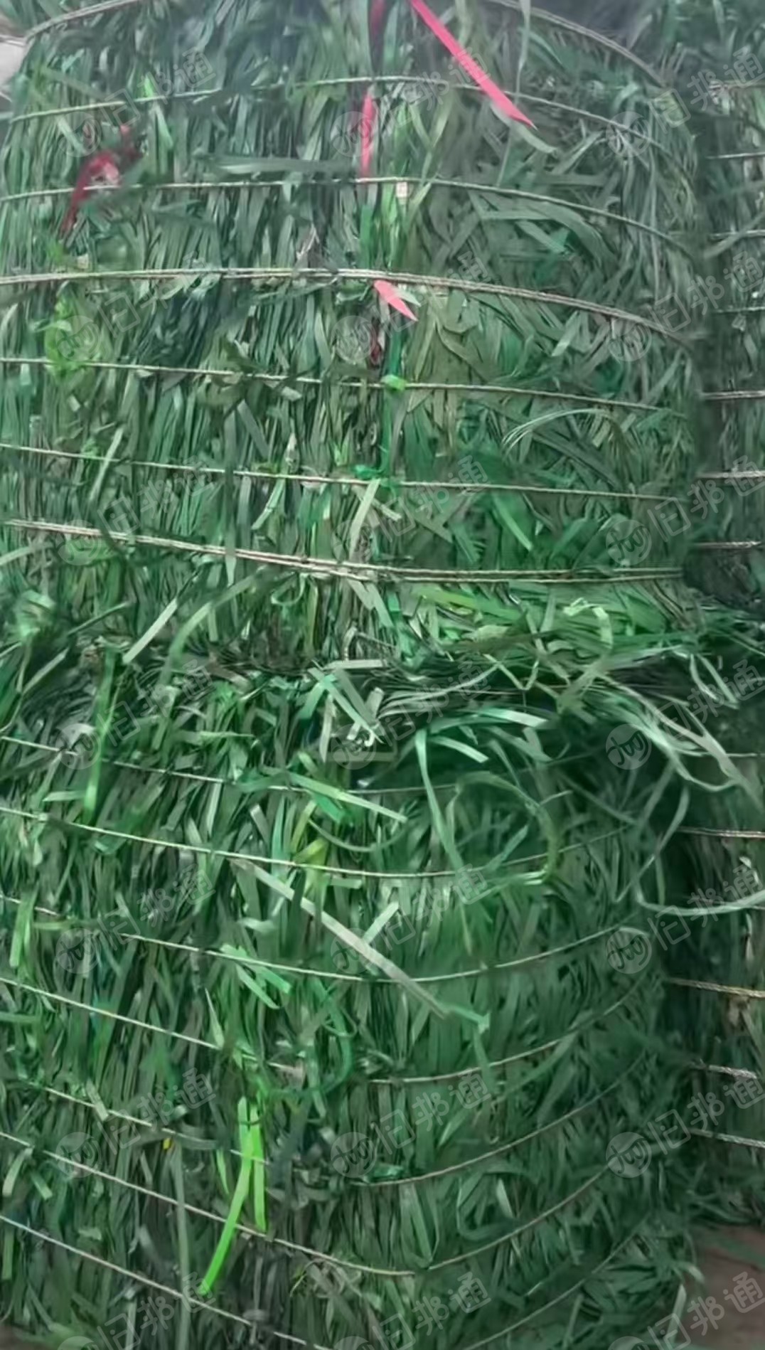 常年出售PET打包带废料