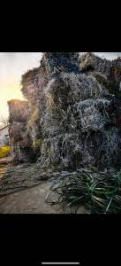 大量求购PP打包带废料