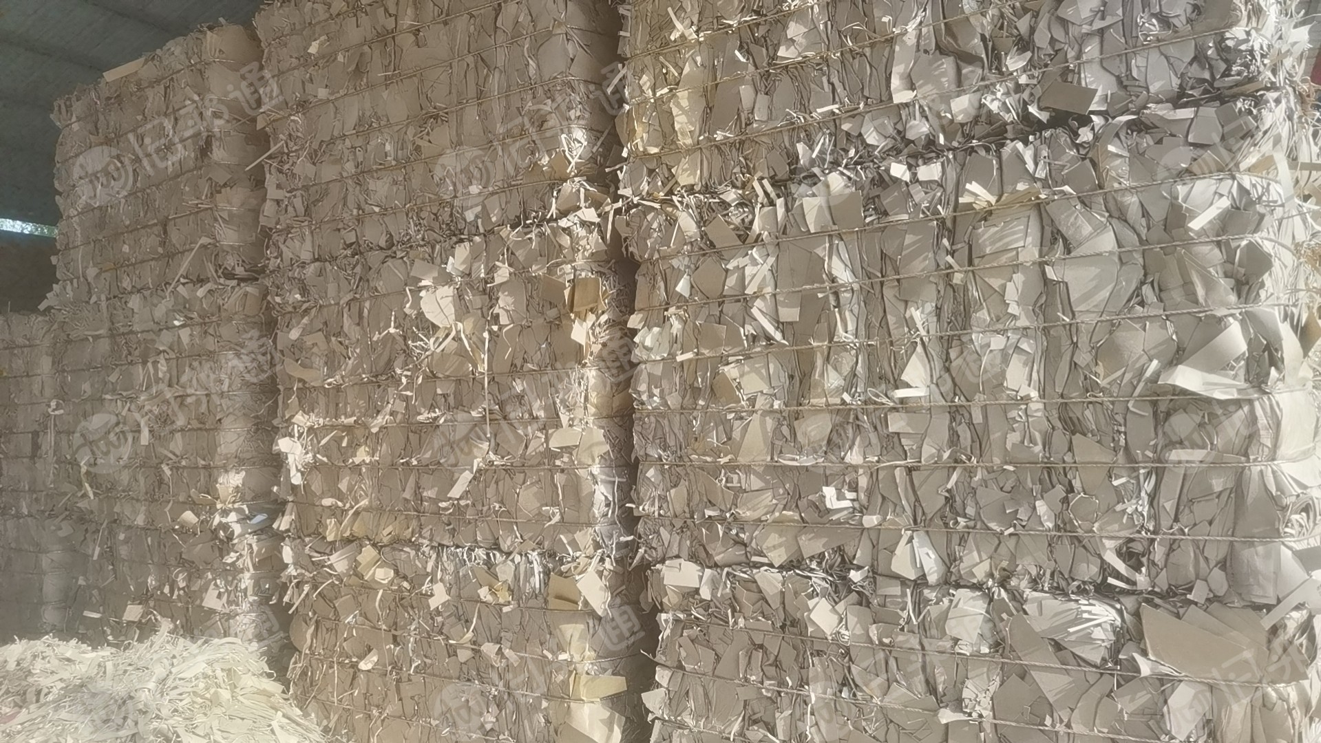 长期出售美国进口的GT牛卡纸边角料