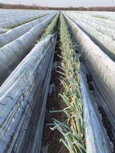 出售滴灌带废料，地膜废料，现货几吨