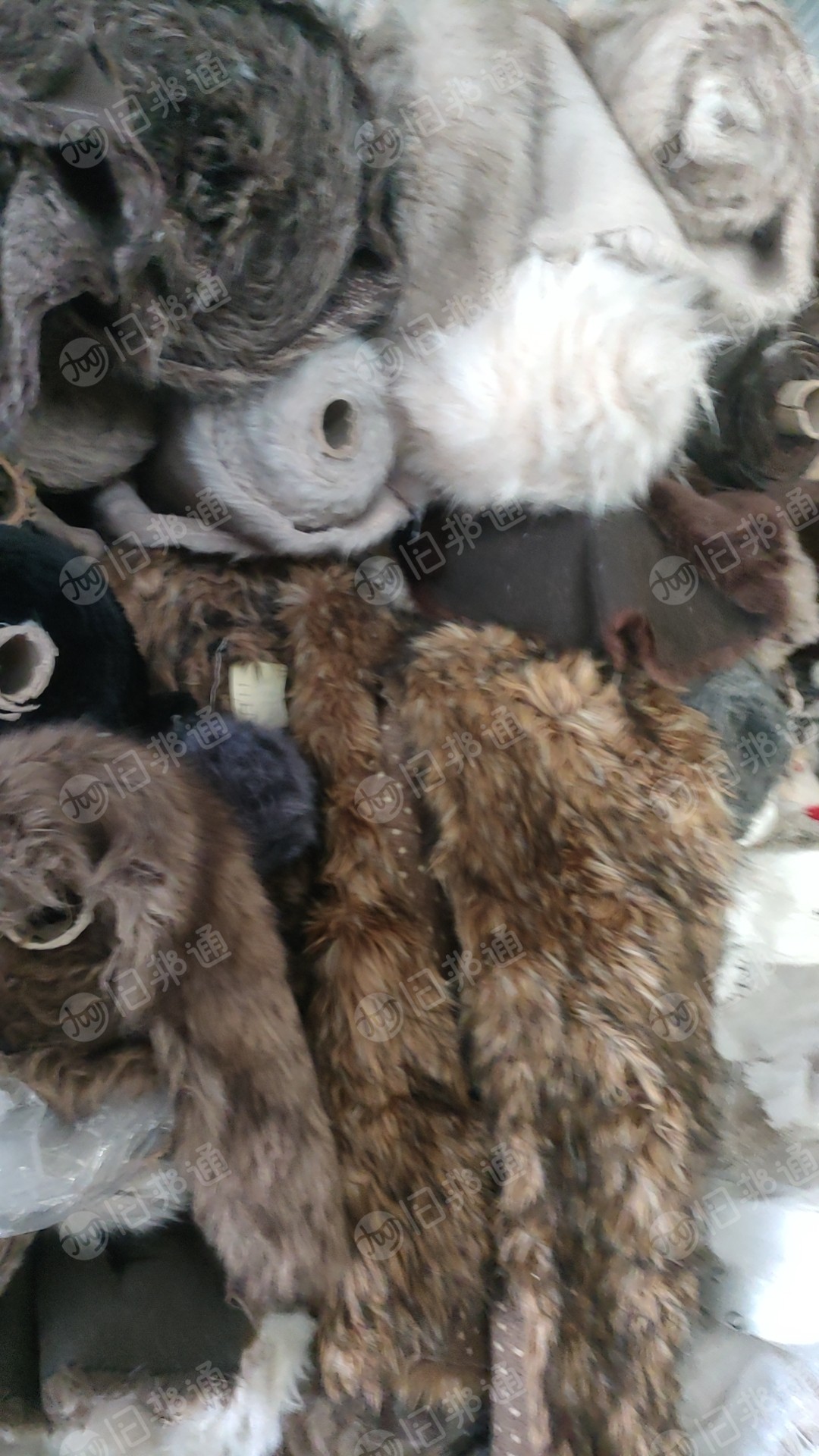 出售真毛卷材，有狗毛，老鼠毛，可以做毛领毛条用，现货50吨