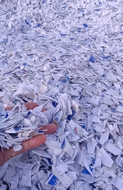 出售PP涂料桶破碎料，白色带字桶破碎料，现货几吨