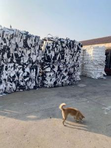 长期出售涤纶复合汽车内饰料，汽车内饰开花料，有一面白一面黑的，现货60吨