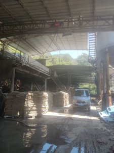 长期出售纸塑袋加工的牛皮纸浆，挤压过水分