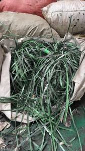 长期出售pet打包带，社会料