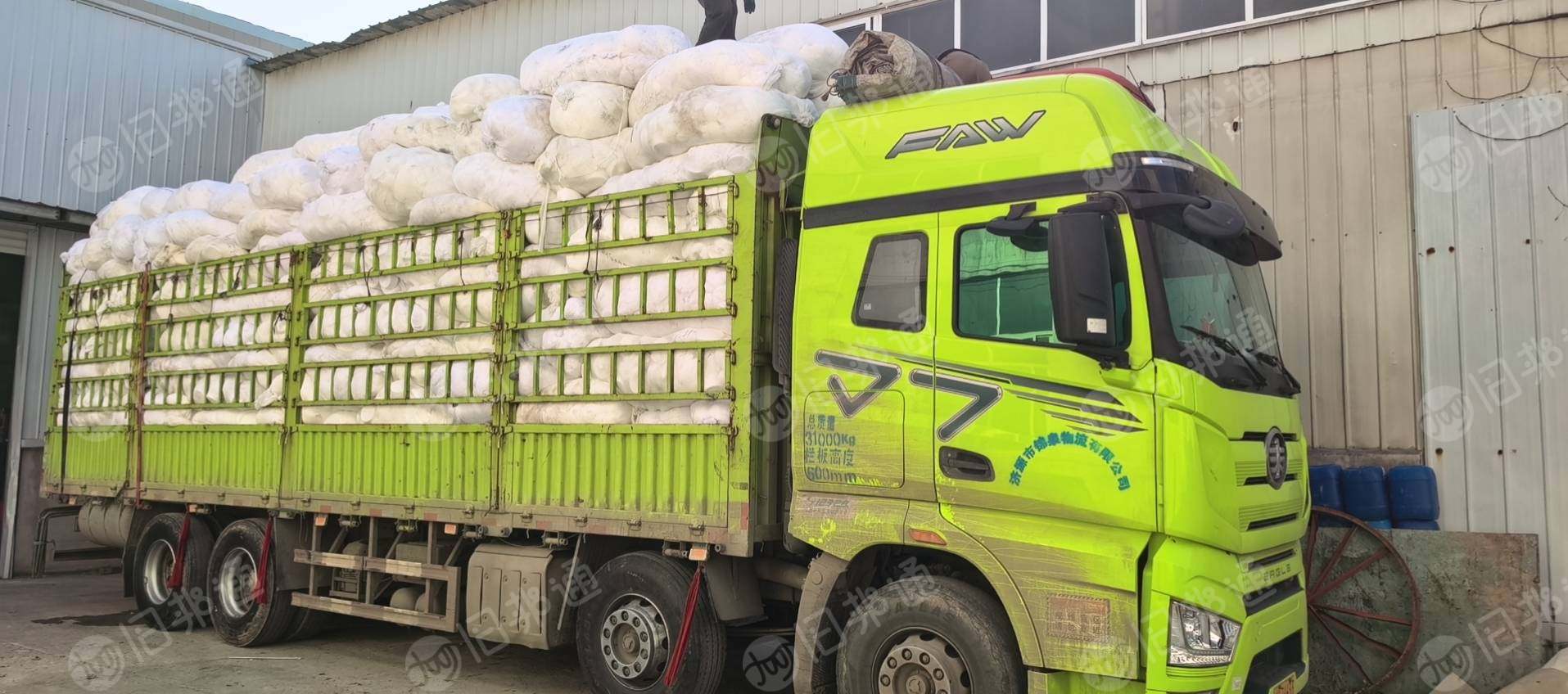 长期大量出售涤纶白色开花料，涤纶废布，现货13米一车