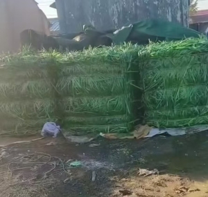 常年出售PET打包带废料