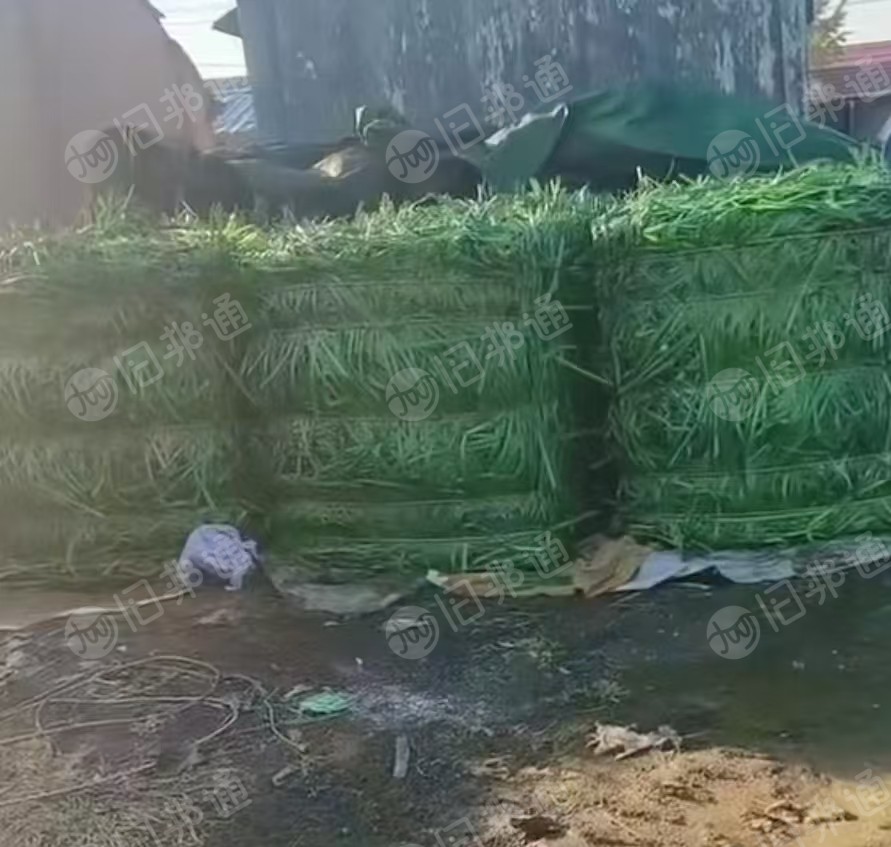 常年出售PET打包带废料